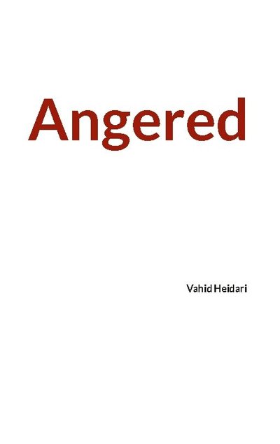 Cover for Vahid Heidari · Angered : Vahid Heidari (Paperback Book) (2025)