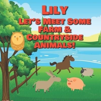 Cover for Chilkibo Publishing · Lily Let's Meet Some Farm &amp; Countryside Animals! (Paperback Bog) (2021)
