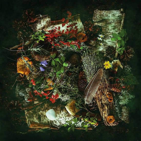 Cover for Agusa · En Annan Varld (LP) (2021)