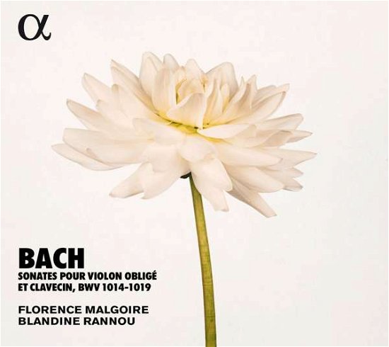 Cover for Blandine Rannou / Florence Malgoire · Sonates Pour Violon Oblige Et Clavecin. Bwv 1014-1019 (CD) (2019)