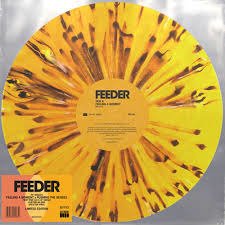 Cover for Feeder · Feeling a Moment / Pushing the (10&quot;) (2020)