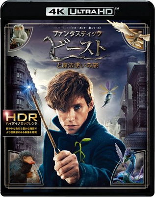 Cover for Eddie Redmayne · Fantastic Beasts and Where to Find Them (MBD) [Japan Import edition] (2018)