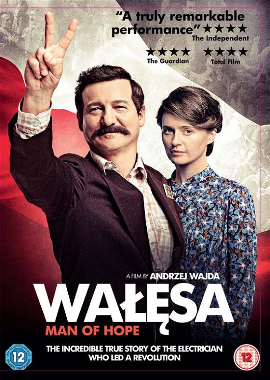 Walesea DVD - Movie - Film - Metrodome Entertainment - 5055002558870 - 3. marts 2014