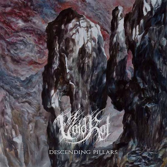 Cover for Void Rot · Descending Pillars (CD) (2024)