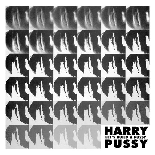 Cover for Harry Pussy · Let's Build a Pussy (LP) [Reissue edition] (2012)