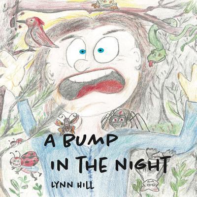 Cover for Lynn Hill · A Bump In The Night (Paperback Book) (2017)