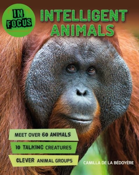 Cover for Camilla De La Bedoyere · In Focus: Intelligent Animals - In Focus (Gebundenes Buch) (2018)
