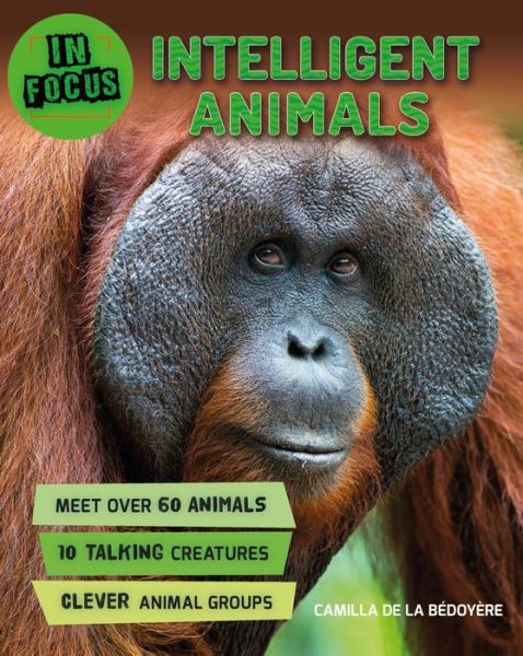 Cover for Camilla De La Bedoyere · In Focus: Intelligent Animals - In Focus (Inbunden Bok) (2018)