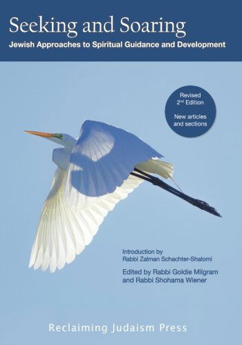 Cover for Rabbi Goldie Milgram · Seeking and Soaring:: Jewish Approaches to Spiritual Guidance and Development (Paperback Book) (2014)