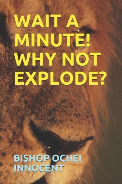 Cover for Bishop Ochei Innocent · Wait a Minute! Why Not Explode? (Paperback Book) (2019)
