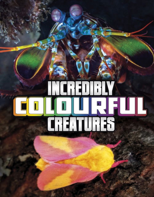 Cover for Megan Cooley Peterson · Incredibly Colourful Creatures - Unreal but Real Animals (Innbunden bok) (2023)