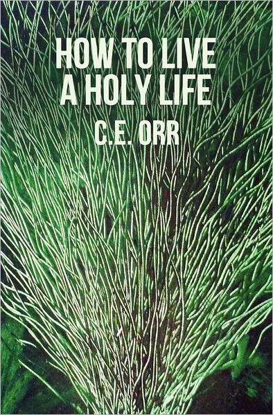 Cover for C E Orr · How to Live a Holy Life (Paperback Book) (2012)