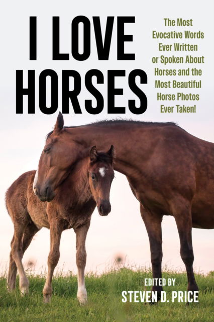 Cover for Steven D Price · I Love Horses - I Love (Paperback Book) (2024)