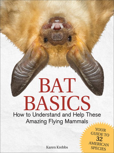 Cover for Karen Krebbs · Bat Basics: How to Understand and Help These Amazing Flying Mammals (Hardcover Book) (2019)