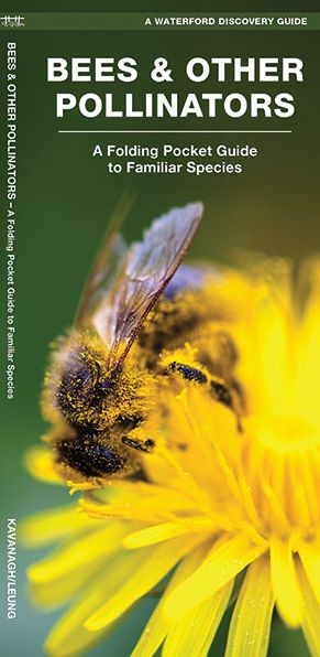 Cover for James Kavanagh · Bees &amp; Other Pollinators: A Folding Pocket Guide to the Status of Familiar Species (Pamflet) (2016)