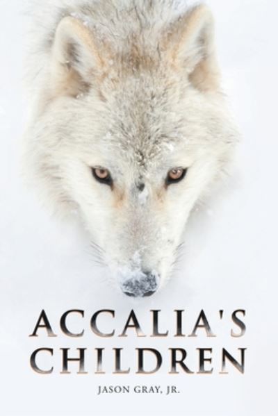 Cover for Jr Jason Gray · Accalia's Children (Paperback Book) (2021)