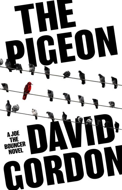 Cover for David Gordon · The Pigeon (Hardcover Book) (2023)