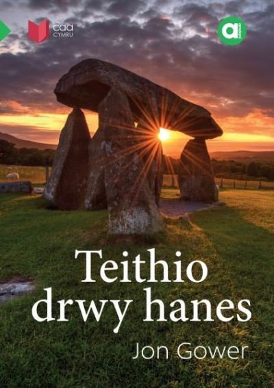 Cover for Jon Gower · Cyfres Amdani: Teithio drwy Hanes (Paperback Bog) (2020)