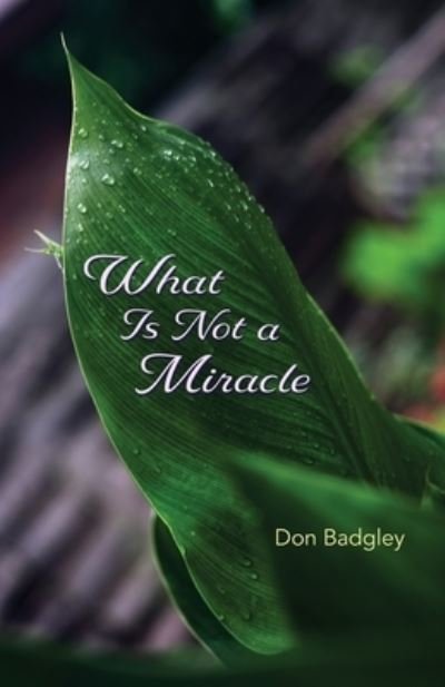 Cover for Don Badgley · What Is Not a Miracle (Pocketbok) (2021)