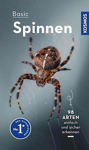 Cover for Lars Wilker · Basic Spinnen (Book) (2023)