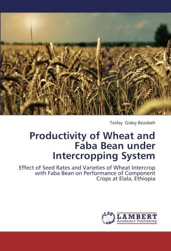 Cover for Tesfay Gidey Bezabeh · Productivity of Wheat and Faba Bean Under Intercropping System: Effect of Seed Rates and Varieties of Wheat Intercrop with Faba Bean on Performance of Component Crops at Elala, Ethiopia (Paperback Book) (2013)