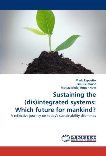 Cover for Matjaz Mulej Roger Haw · Sustaining the (Dis)integrated Systems: Which Future for Mankind?: a Reflective Journey on Today's Sustainability Dilemmas (Paperback Book) (2010)