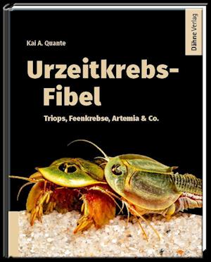 Cover for Kai A. Quante · Urzeitkrebs-Fibel (Bok) (2022)