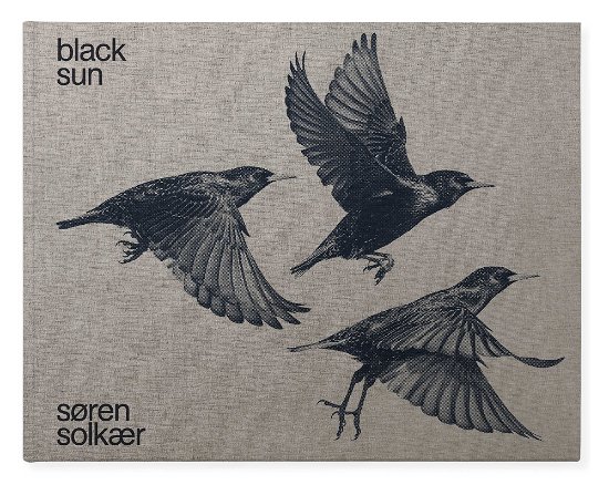 Cover for Ib Michael Søren Solkær · Black Sun (Hardcover bog) [1. udgave] (2020)