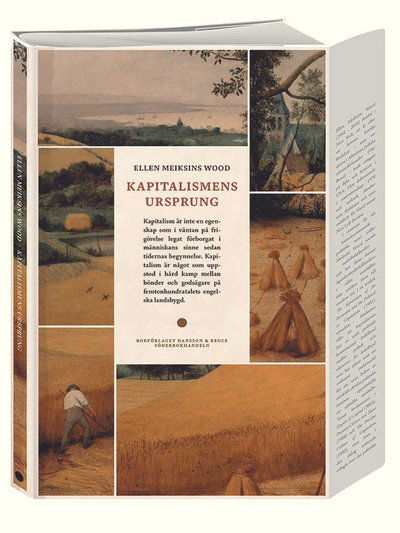 Cover for Ellen Meiksins Wood · Kapitalismens ursprung (Paperback Book) (2025)