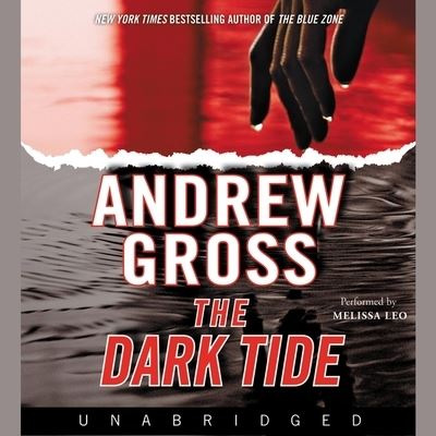 Cover for Andrew Gross · The Dark Tide Lib/E (CD) (2021)