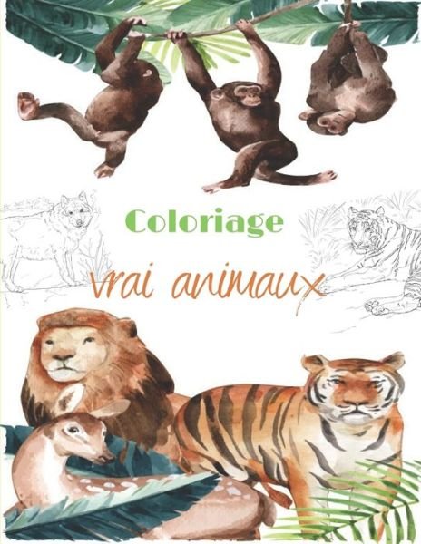 Cover for B Kadri · Coloriage vrai animaux (Paperback Bog) (2020)