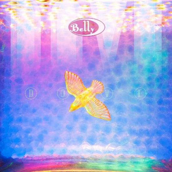 Cover for Belly · Dove (CD) (2018)