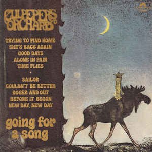 Cover for Culpepper's Orchard · Going For A Song (LP) (2018)