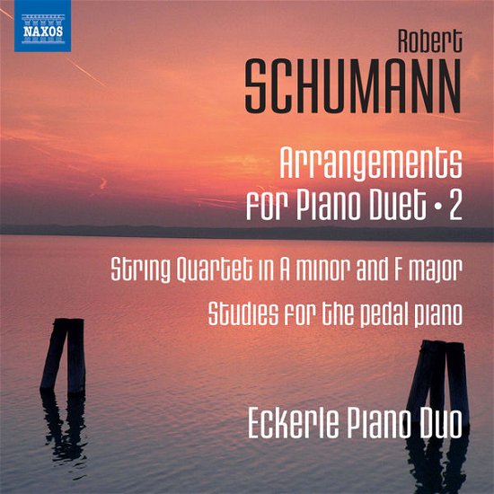 Arrangements for Piano Duet 2 - Robert Schumann - Musikk - NAXOS - 0747313287871 - 22. juli 2013