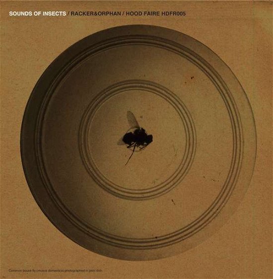 Sounds Of Insects - Racker & Orphan - Musik - HOOD - 0797776034871 - 25. Mai 2015