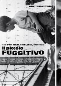 Cover for Piccolo Fuggitivo (Il) (DVD) (2017)