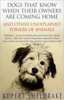Cover for Rupert Sheldrake · Dogs That Know When Their Owners Are Coming Home: And Other Unexplained Powers of Animals (Paperback Bog) (2000)