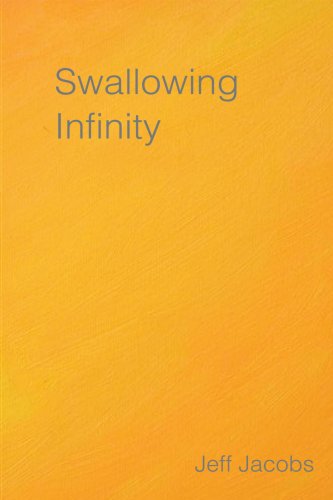 Cover for Jeff Jacobs · Swallowing Infinity (Paperback Book) (2003)