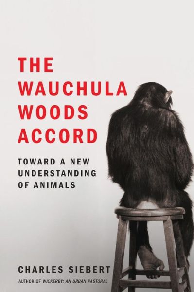 Cover for Charles Siebert · The Wauchula Woods Accord: Toward a New Understanding of Animals (Paperback Book) (2016)