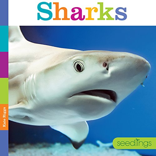 Seedlings: Sharks - Kate Riggs - Books - Creative Paperbacks - 9780898128871 - April 1, 2014