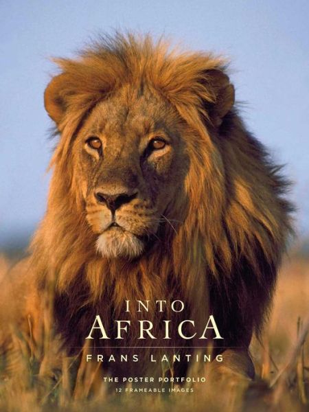 Cover for Frans Lanting · Into Africa: The Poster Portfolio: 12 Frameable Images - Insights Poster Collections (Paperback Book) (2017)