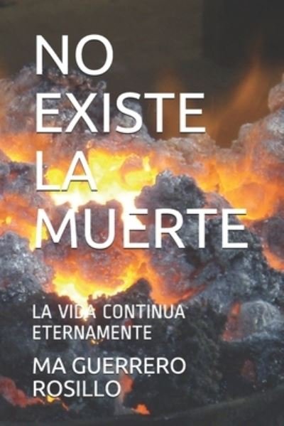 Cover for Ma Rosario Guerrero Rosillo · No Existe La Muerte (Paperback Book) (2019)