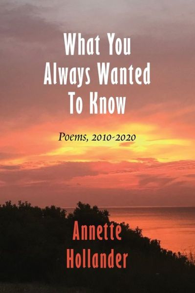 What You Always Wanted To Know - Annette Hollander - Books - Full Court Press - 9781946989871 - January 5, 2021