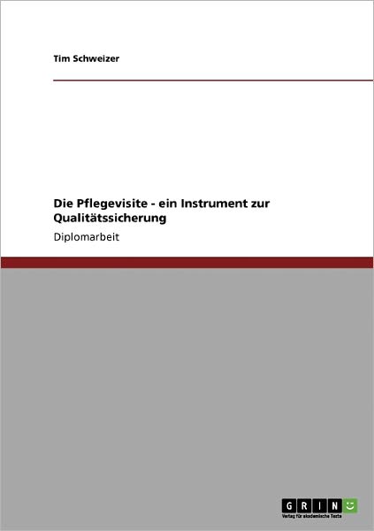 Cover for Schweizer · Die Pflegevisite - ein Instru (Book) [German edition] (2008)