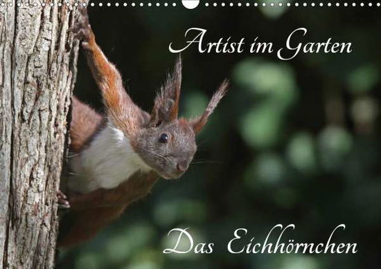 Cover for Konieczka · Artist im Garten. Das Eichhör (Book)