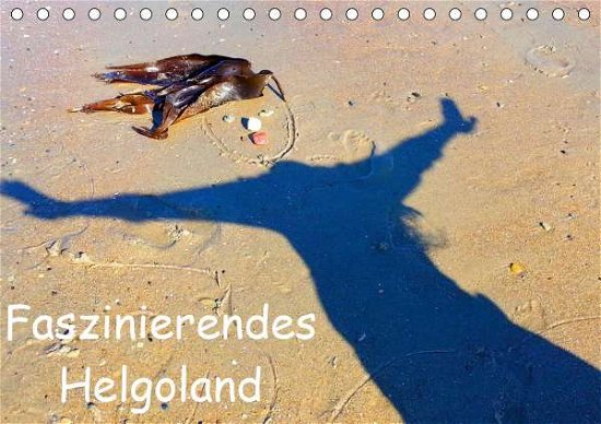 Cover for Raab · Faszinierendes Helgoland (Tischkal (Bog)