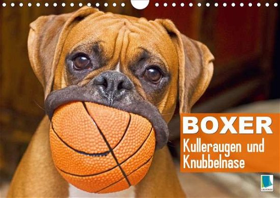Cover for Boxer · Kulleraugen und Knubbelnase (Wan (Book)