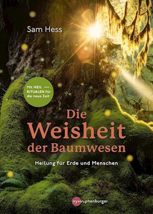 Cover for Sam Hess · Die Weisheit der Baumwesen (Buch) (2024)