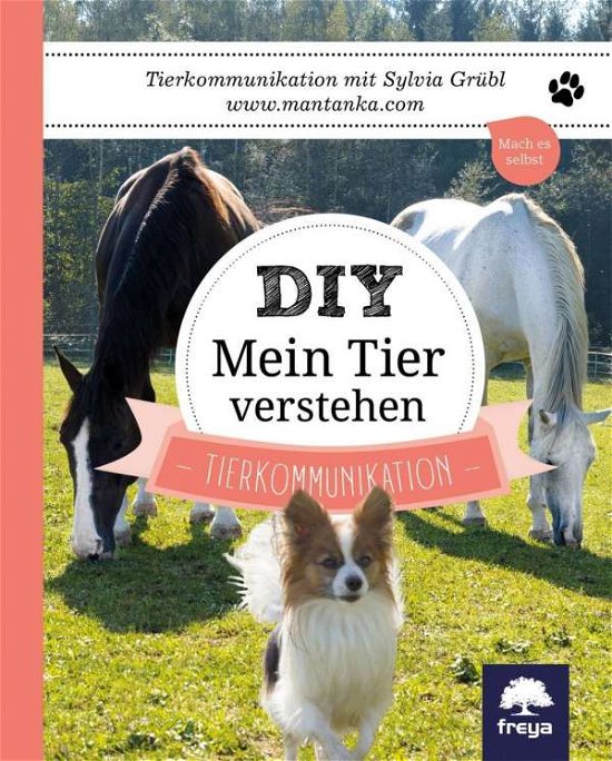 Cover for Grübl · GrÃ¼bl:diy Mein Tier Verstehen (Bok)