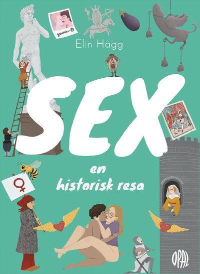 Sex : en historisk resa - Elin Hägg - Livros - Opal - 9789172263871 - 